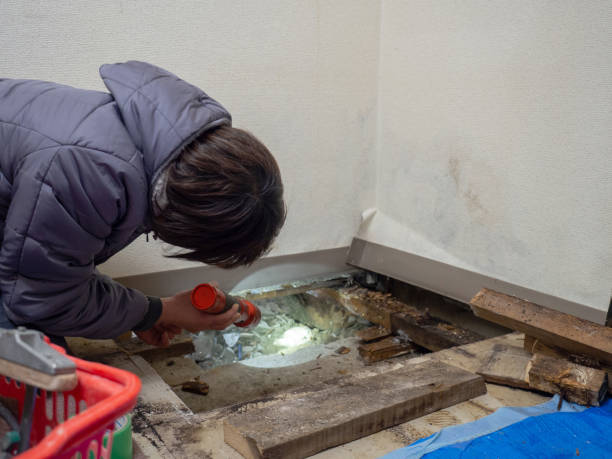 Mold Odor Removal Services in Vails Gate, NY