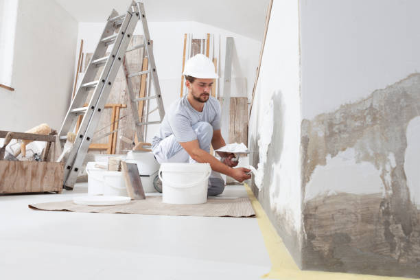 Best Basement Mold Removal  in Vails Gate, NY