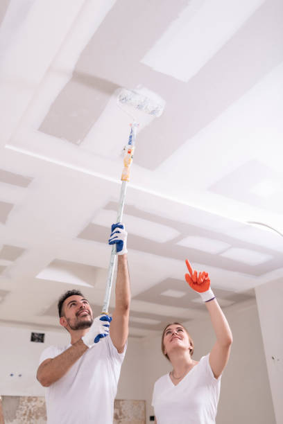 Best Environmental Consulting for Mold Prevention  in Vails Gate, NY