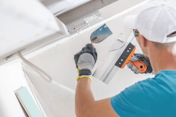 Best Real Estate Mold Inspection  in Vails Gate, NY